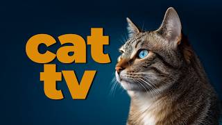 Cat TV | Forest Birds & Fluffy Guinea Pigs | Videos for Cats to Watch | Cat Entertainment