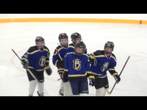 BJR 03Y A vs Haukat/musta (8-0) 19.3.2016