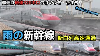 【雨の320km/h高速通過】雨の中の新白河新幹線高速通過　最速は「はやぶさ・こまち」の320km/h！！（一部速度付き）  #shinkansen