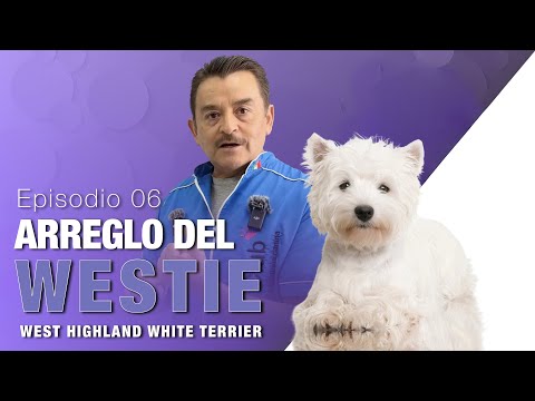 Grooming a Westie by Heriberto Quintana | Grooming Masters | Episode 6
