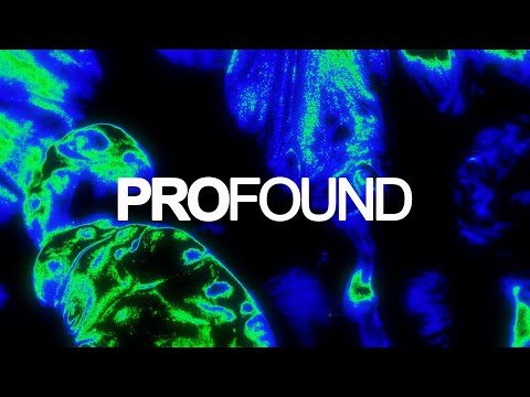 Vanilla Ace, Nino (BG) - Ethnic Trip