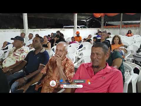 Description or Alt Text