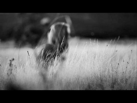 Wizja Lokalna x Skor - Znicze Gasną (LukaMono Blend)