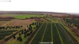 The Tree Barn plantation - Christmas Common, The Chilterns, Oxfordshire - An aerial perspective!