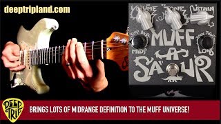 Video thumbnail for Deep Trip THE MUFFASAUR by Mike Hermans