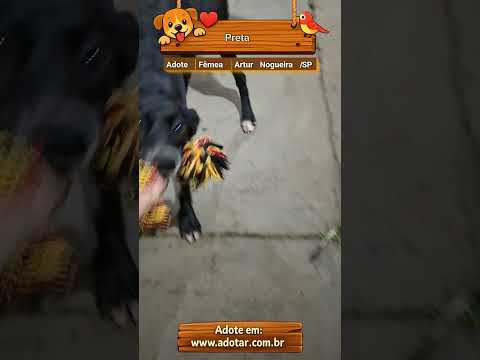 Vídeo de Preta