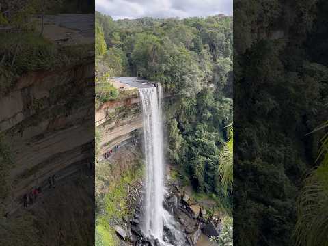 Conhecendo mais um pedacinho de SC 📍 #cachoeira