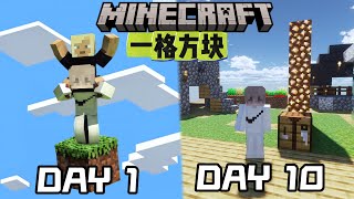 和PangZhen挑戰我的世界《一格方塊生存》！十天能做出什麽東西？！