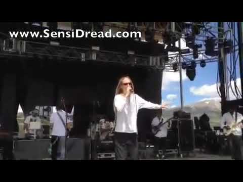 Troddin Thru Babylon **Reggae Live @ SouthParkFest**