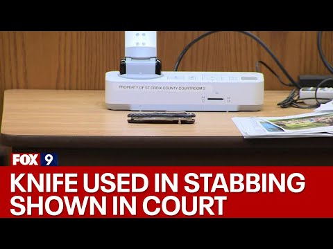 Apple River stabbing trial: Nicolae Miu's knife shown in court