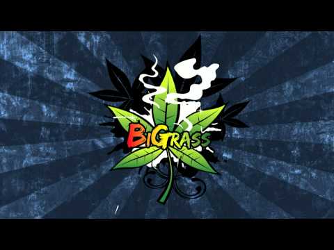 BiGrass & Stiff - 30 srebrników