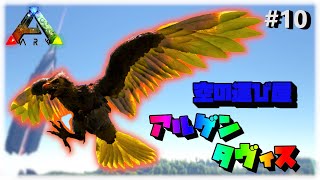 アル ゲンタ ヴィス テイム Watch Hd Mp4 Videos Download Free