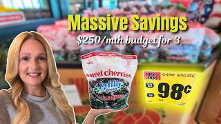 Weekly Grocery Haul For A Family Of 3 On a $250/Mth Budget | Grocery Haul: July 2026