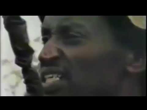 ወዲ ትኹል - "ባጽዕ ስየ" Wedi Tikul