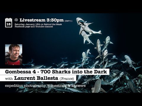 GOMBESSA 4- 700 SHARKS INTO THE DARK with Laurent Ballesta