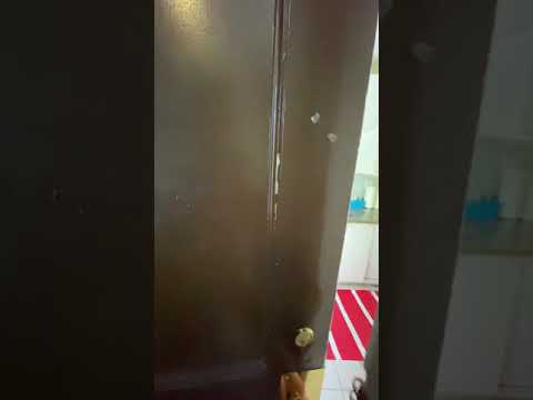 Brookline Condo for Sale: 169 Kent St., Apt. 4, Brookline, MA