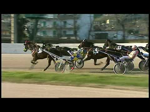 Trotto 12/01/2021 - 4ª corsa