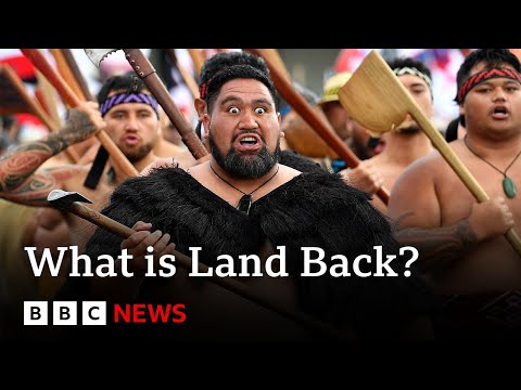 Video | What you need to know about the Land Back movement in New Zealand | BBC News