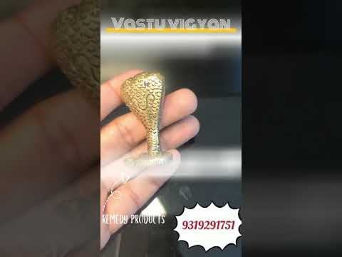 Vastu Brass Snake
