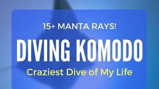 Manta Rays: Epic Dive in Komodo