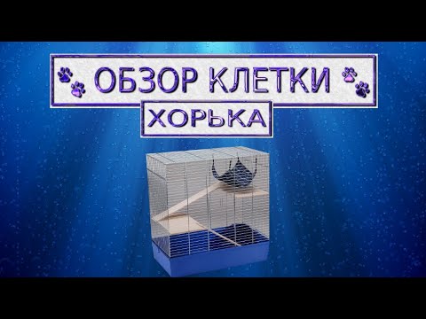 Обзор клетки для хорька!👀Что должно быть в клетке!?✔