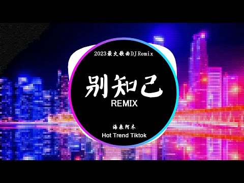 海来阿木 - 别知己 Biệt Tri kỷ (DJ抖音 Remix)【抖音热门歌曲】『月亮冷冷地挂在天上, 它也知道明天将是一场离别。』抖音 Hot Tiktok Douyin | Baozhang