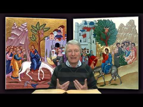 Domenica delle Palme - anno A -