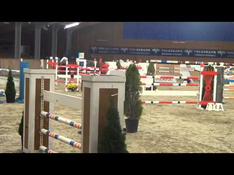 8yo geding by Padinus Final Medium Tour Lake Arena