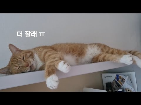 YouTube 썸네일