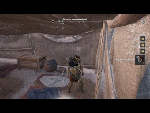 Assassin's Creed® Odyssey #183 - zabójstwo Czciciela - Diona