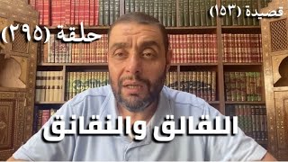 صورة (294) كرسي المتنبي - قُشَيْرٌ وَبَلْعَجْلانِ فِيْهَا خَفِيَّةٌ - حلقة