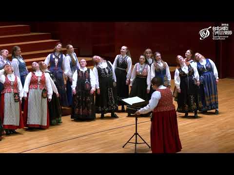 TICF24【Cantus】El Hambo｜漢伯舞