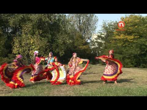 Alexandrina Palca - Tigancusa