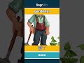 gardener - 园丁 video thumbnail