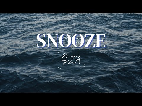 Snooze by SZA (Karaoke with Backup Vocal)