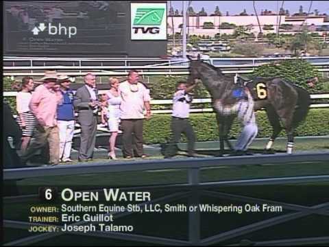 The 62nd Running of Marjorie L. Everett Handicap (GII) - $150,000 Guaranteed