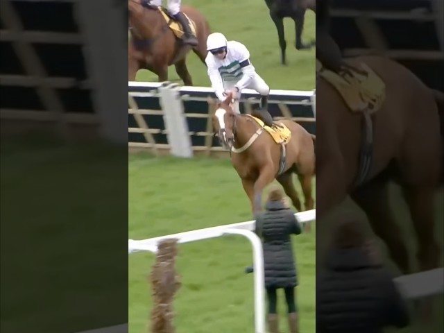 Thumbnail for Post ID: ayijlQCbGGI