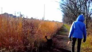 Gobbledigook - Sigur Ros