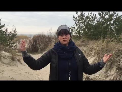 Lettland och urkraften - Turtips av Malin