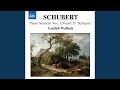 Piano Sonata No. 15 in C Major, D. 840, "Reliquie": I. Moderato