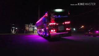 preview picture of video 'Duburu patikki bus'