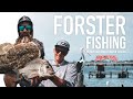 FORSTER FISHING || BAIT JUNKIE