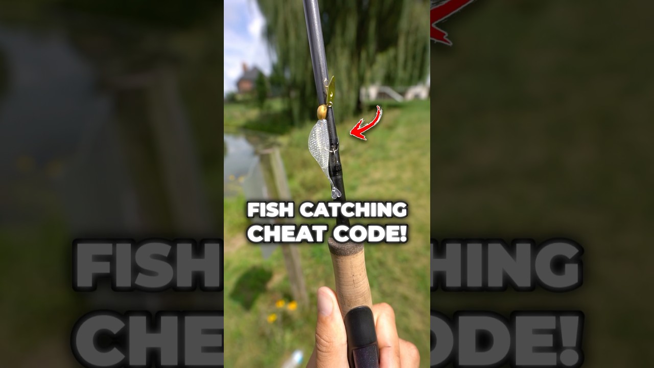 This Bait is a Fish-Catching CHEAT CODE! 👀🎣#fishing