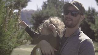 Pine Pollen Foraging.