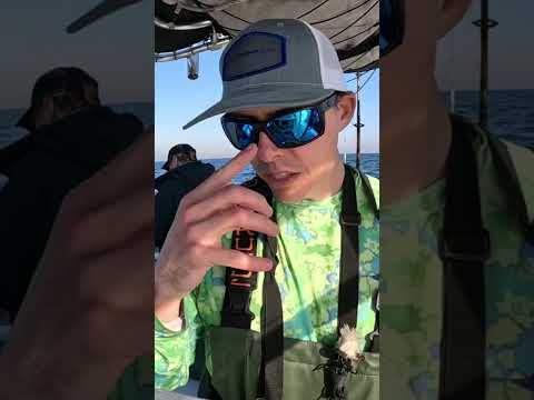 What Sea Bass Look Like on a Depth Recorder! #shorts