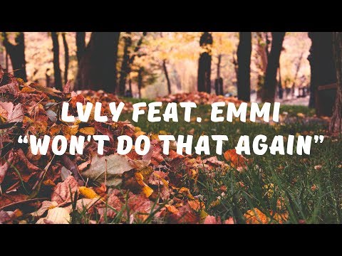 Lvly feat  Emmi - Won't Do That Again (Lyrics)