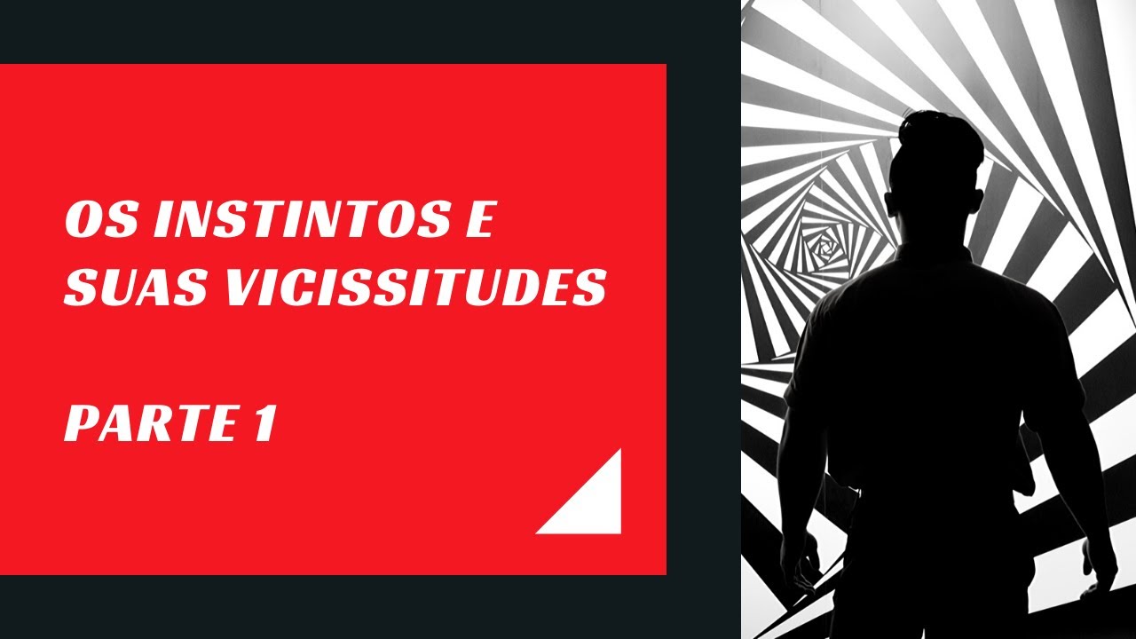 Os Instintos e suas Vicissitudes - Parte 1