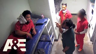 Download lagu 60 Days In: Top 8 Moments From Henry County Jail (Season 7) - Part 2 | A&E mp3 Download lagu 60 Days In: Top 8 Moments From Henry County Jail (Season 7) - Part 2 | A&E mp3