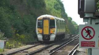 preview picture of video 'Two Trains at Shepherds Well 27/07/13'