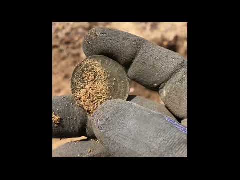 Metal detecting and relic hunting near Beverly WA